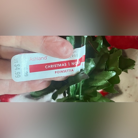 1 poinsettias red plant Christmas - Picture 10 of 13